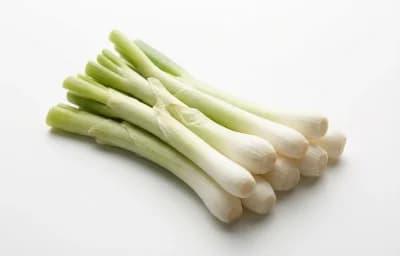 scallion whites