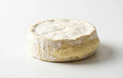 camembert cheese