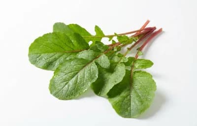 radish leaves