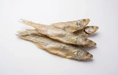 Bombay Duck Fish