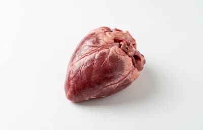 pork heart