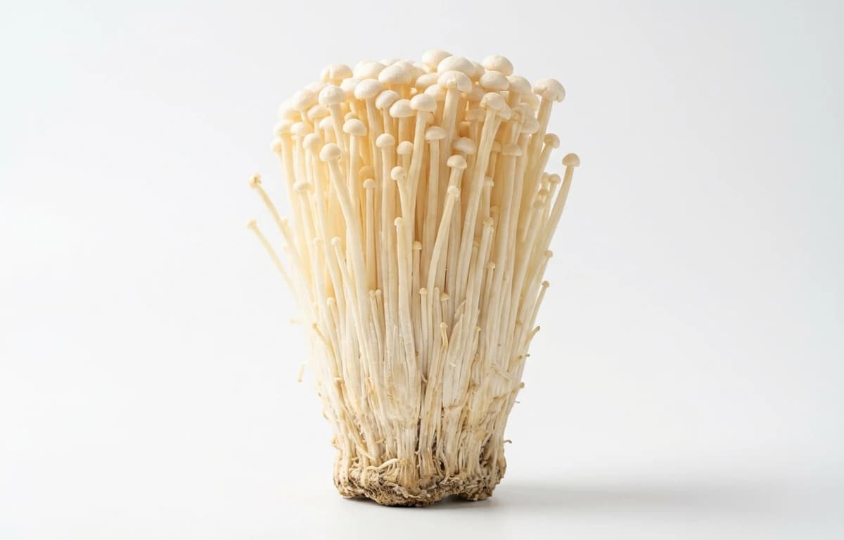Enoki Mushrooms