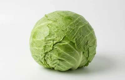 raw common cabbage