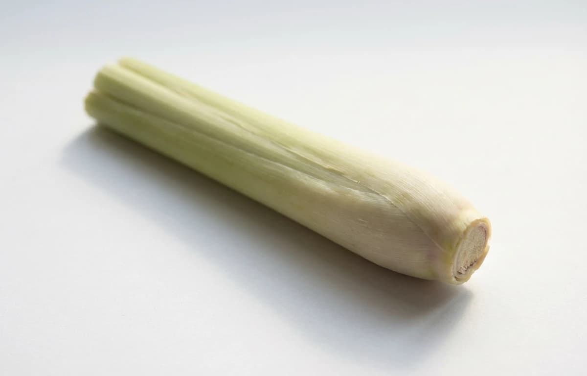 Lemongrass Stalk