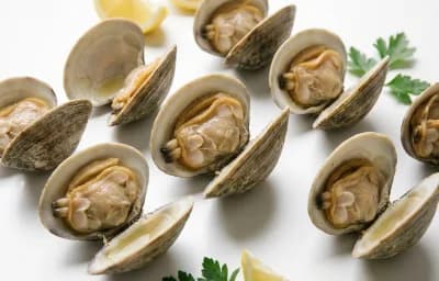 cooked clam