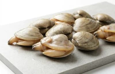whole-belly clams