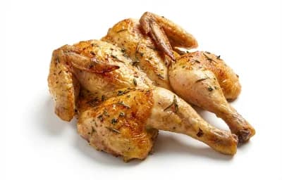 roasted light meat chicken