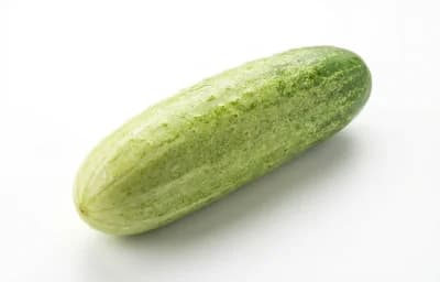 madras cucumber