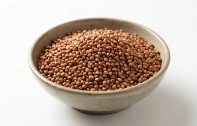 sorghum grain