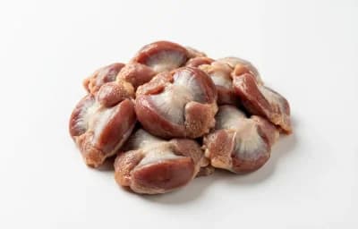 poultry chicken gizzard