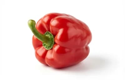 red bell pepper