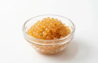 cat fish eggs