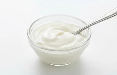 plain yogurt starter