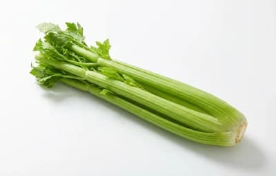 celery stalk