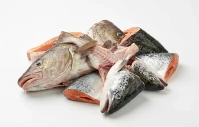 fish heads and bones