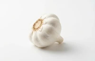 Garlic Bulb