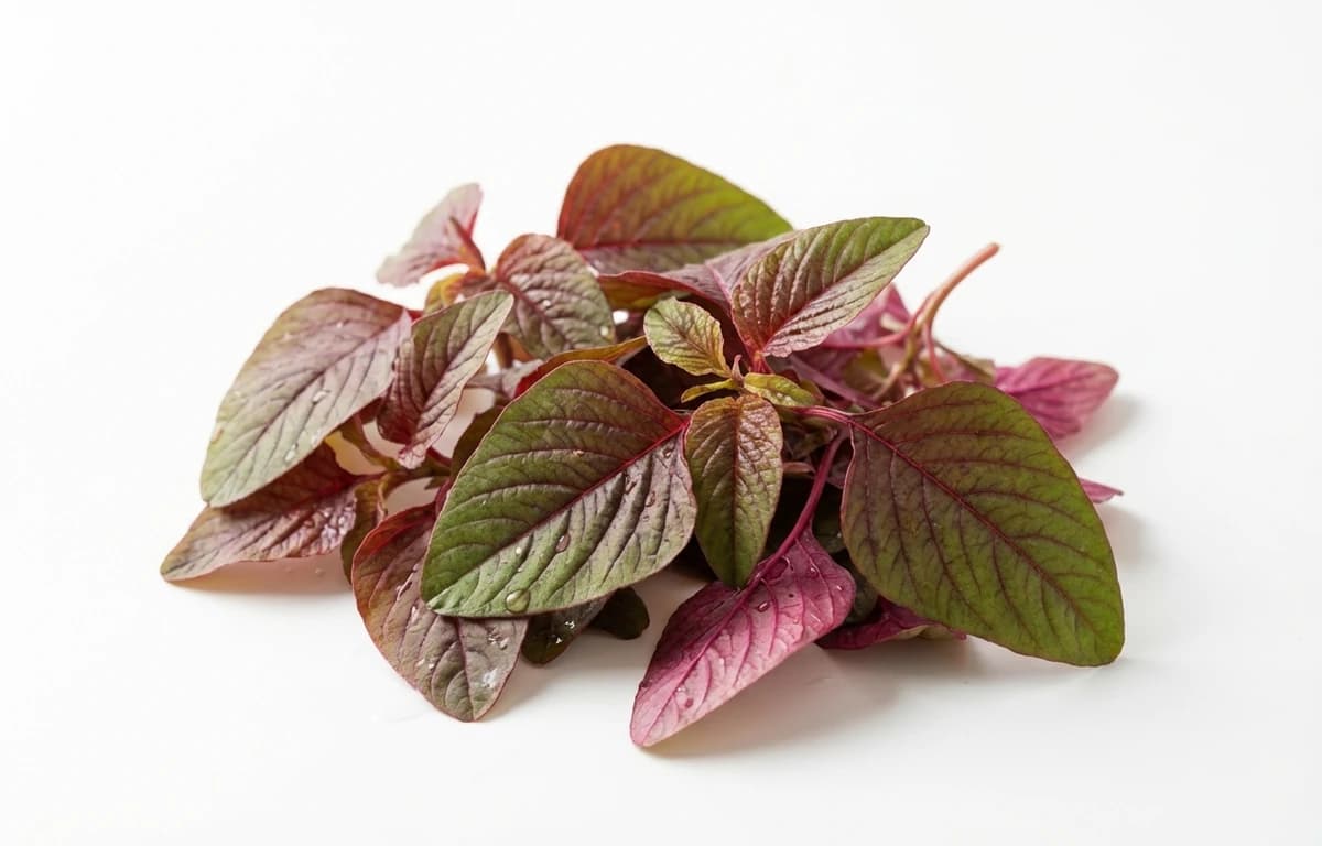 red amaranth