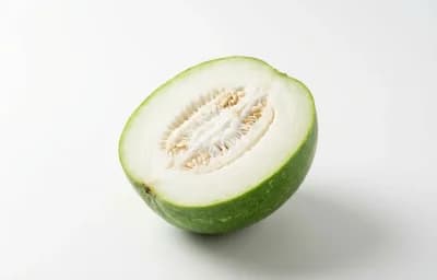 winter melon