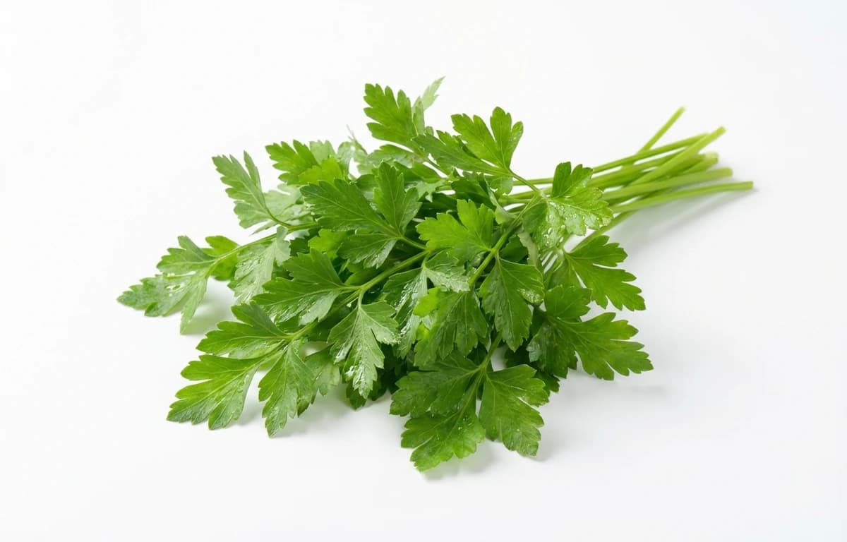 fresh flat-leaf parsley