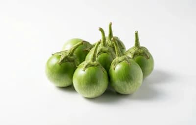 thai eggplant