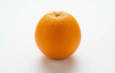 raw florida orange