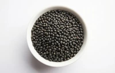black gram lentils