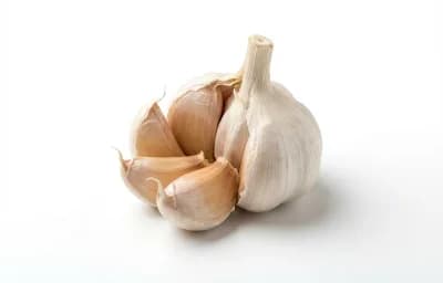 garlic head