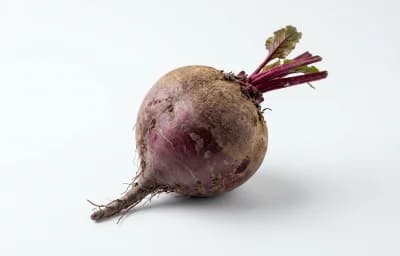 beetroot