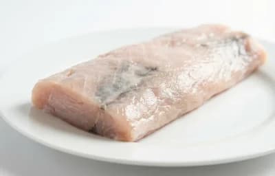 Alligator Tenderloin