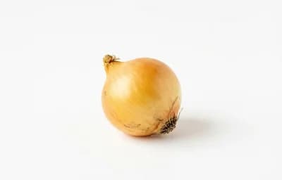 Small Yellow Onion