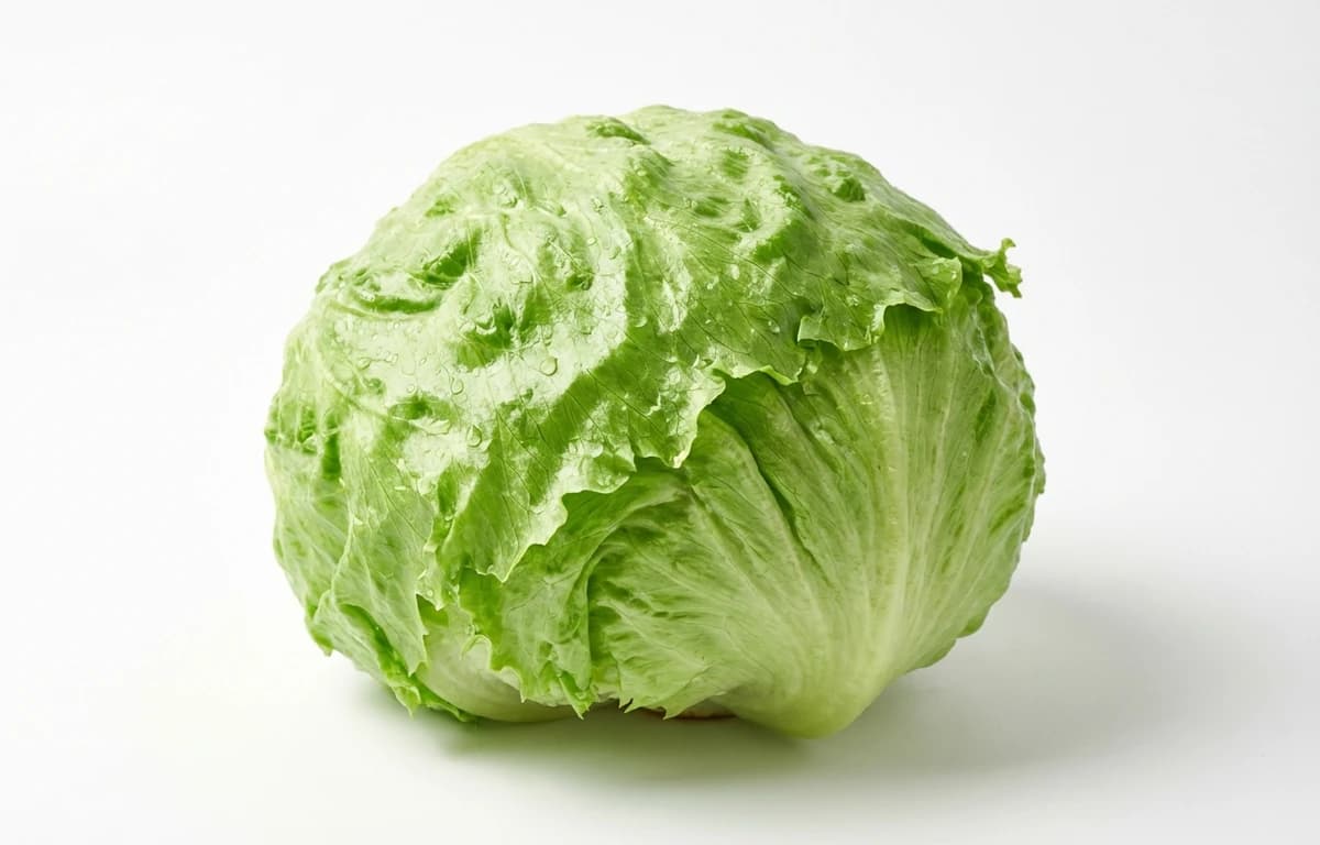raw iceberg lettuce