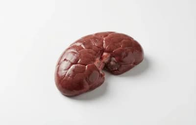 raw beef kidney