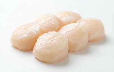 raw scallop