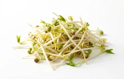 mung bean sprouts