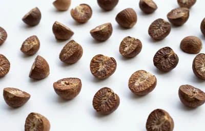 dried brown arecanut