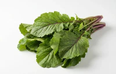 broadleaf mustard greens