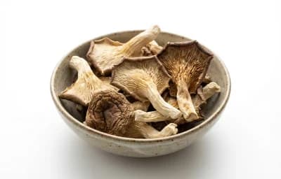 dried oyster mushroom