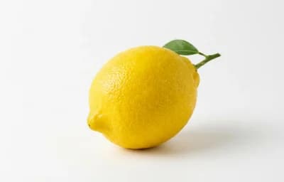 Large Lemon