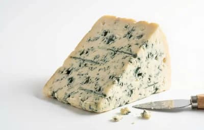 gorgonzola cheese