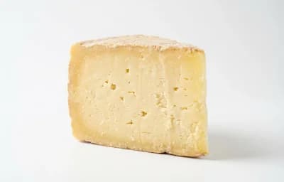 brick cheese