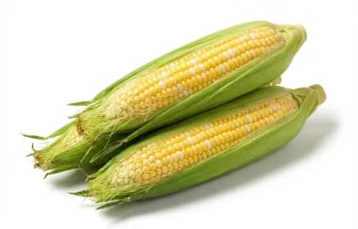 raw sweet corn