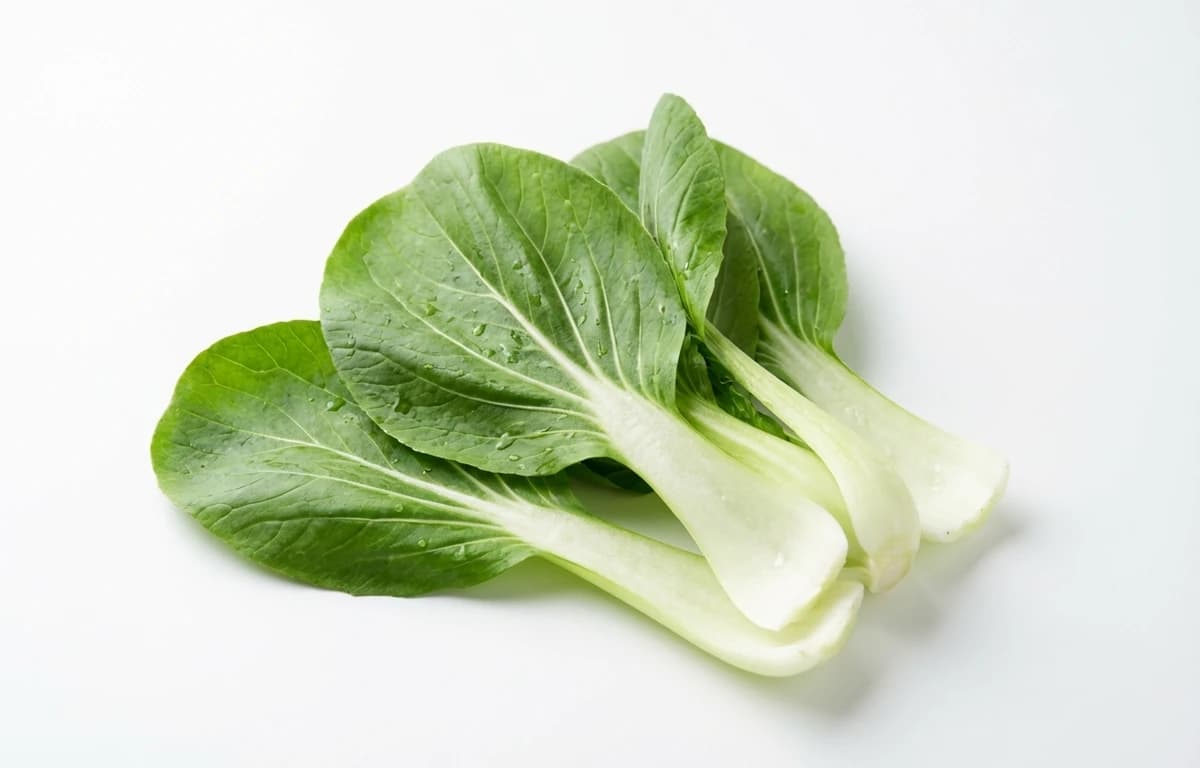 pak choi leaves