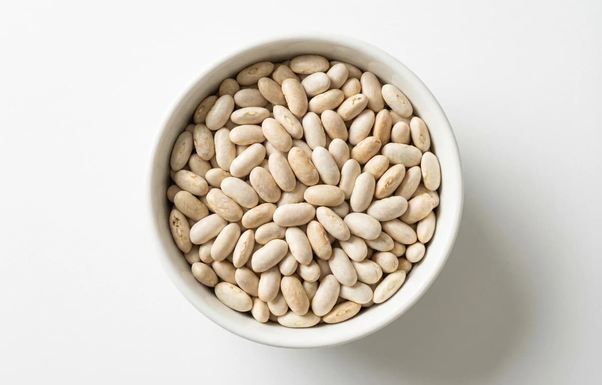 raw great northern beans