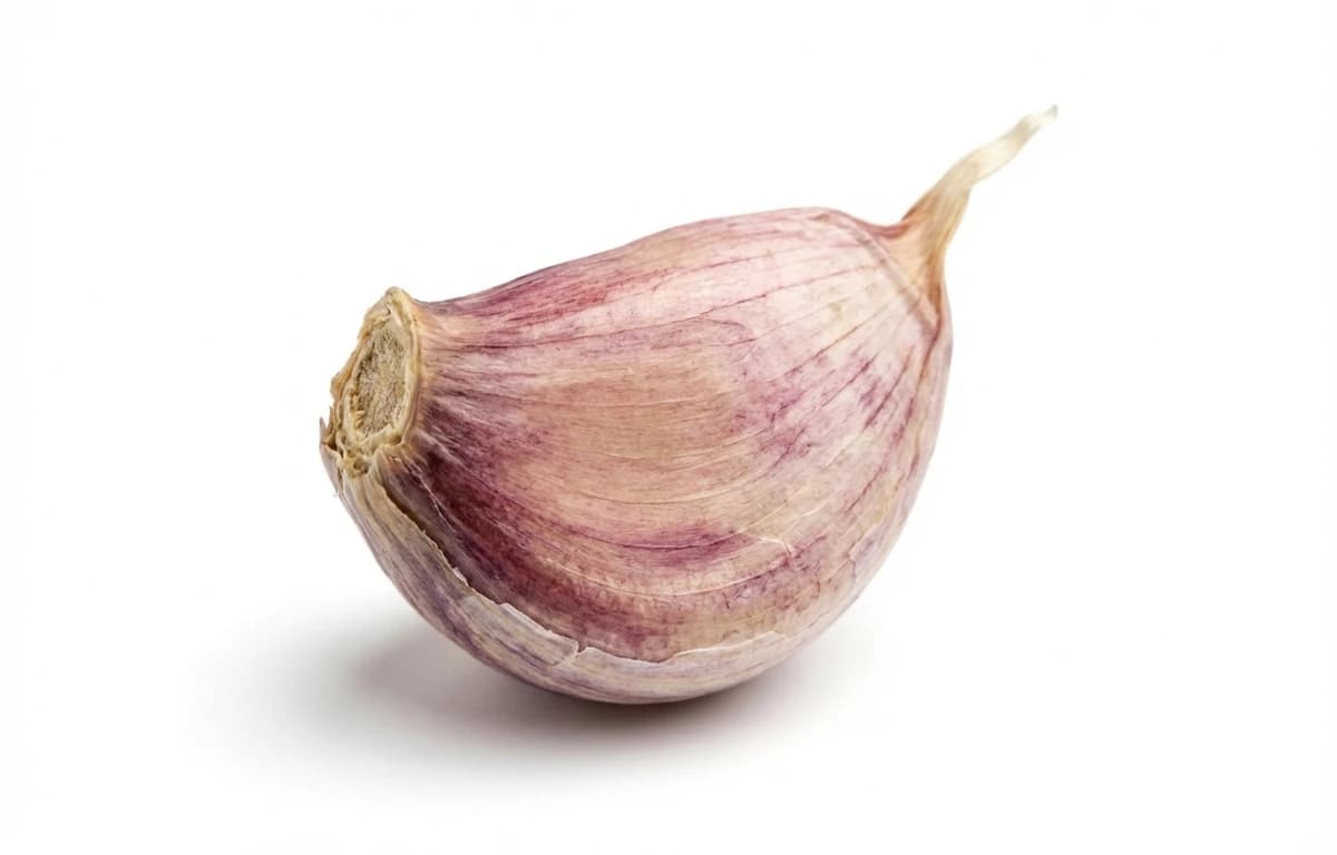 Garlic Clove