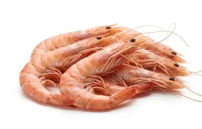 prawns