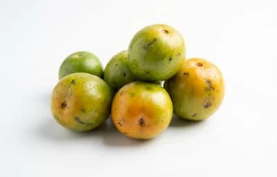hog plum