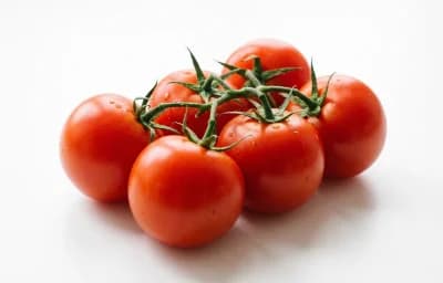 tomatoes
