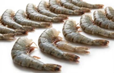 big prawns