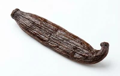 vanilla bean