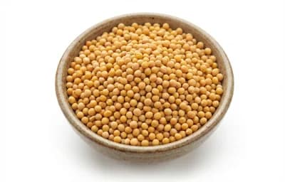 yellow mustard seeds